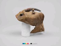 羌頭皮帽藏品圖，第8張